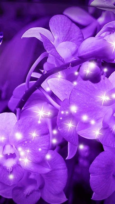 Download Sparkling Aesthetic Purple Flower Wallpaper
