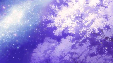 Sakura Trees Cherry Blossom Trees Anime Amino