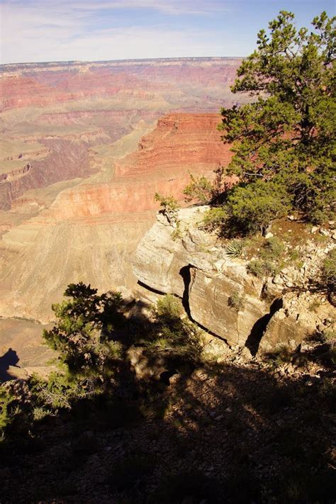 View Into The Colorado River Gorge Stock Photo Image Of Arizona