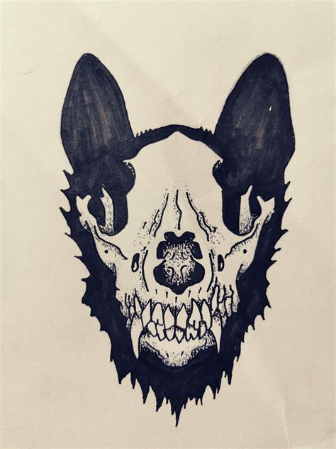 Dog Skull Germanshepperd Drawing Dog Skull Animal Skull Drawing Dog