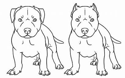 Pitbull Coloring Drawing Pages Dog Puppy Printable
