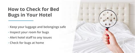 Bed Bugs In Hotels Everything You Need To Know Pestech