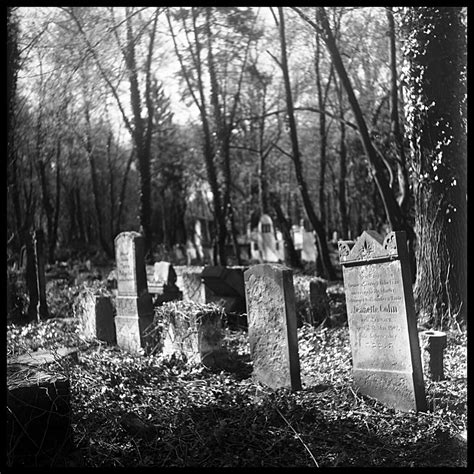 Nowy Cmentarz Żydowski New Jewish Cemetery Zabytkowy Now Flickr