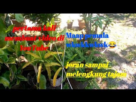 Langkah ketiga, potong salah satu dari ketiga kayu tersebut menjadi dua bagian. Cara Membuat Joran Dari Bambu!! Part (1) - YouTube