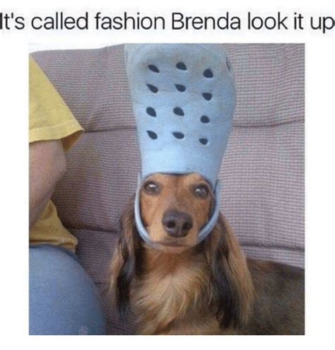 Its Called Fashion Brenda Look It Up Dank Meme On Meme