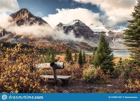 Mount Assiniboine On Lake Magog And Wooden Chair In Autumn Forest At