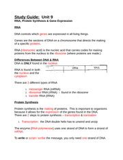 Negatively supercoiled dna can be relaxed by topoisomerase i. Atoms vs. Ions Worksheet - Answer Key - Name Date Period Atoms vs Ions worksheet Cations Have a ...