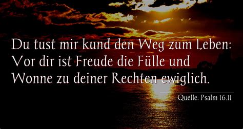Du hast wahrscheinlich auch noch nie eine person (zum beispiel) im genitalbereich tätowiert, davon gehe ich zumindest mal aus. New Sprüche Du Tust Mir Gut - gute zitate