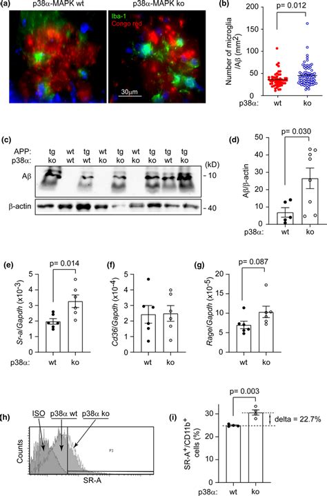 Deficiency of p38αMAPK in myeloid cells promotes microglial