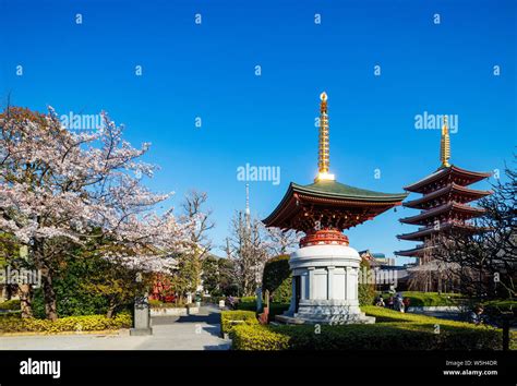Spring Cherry Blossom Sensoji Temple Asakusa Tokyo Japan Asia Stock Photo Alamy