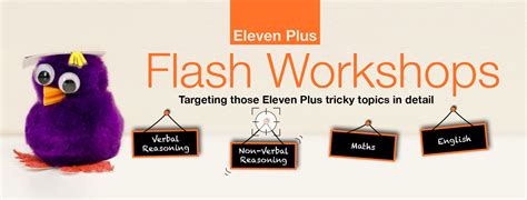 90 Minute Flash Workshops