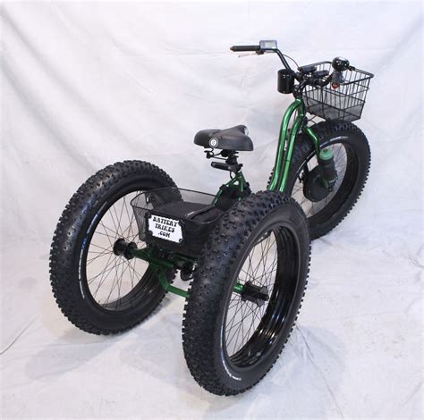 Pin Su Electric Fat Tire Trike Adult Tricycle Green Apple