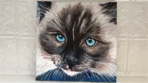 Ragdoll Cat Acrylic Painting Demonstration Youtube