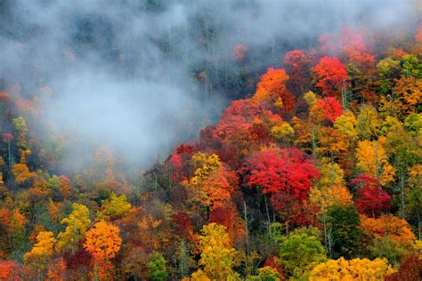Things To Do In The Smoky Mountains In October Fall Festivals Smokies