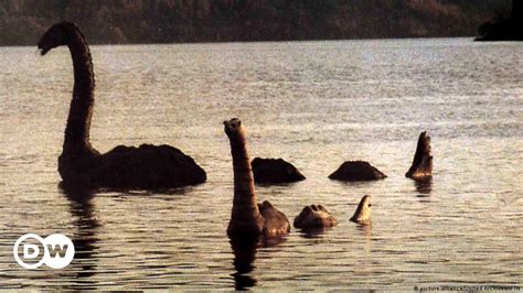 Scotland S Loch Ness Monster Could Be Giant Eel DW