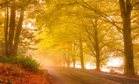 Misty Autumn Road Hd Wallpaper Background Image 2600x1576 Id