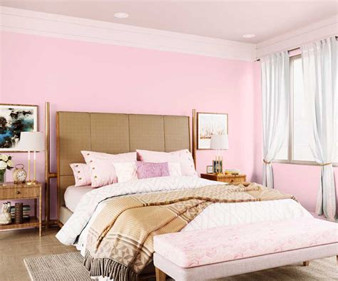 Try Pink Dollop House Paint Colour Shades For Walls