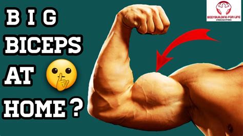 How To Get Big Biceps At Home Without Equipment Youtube