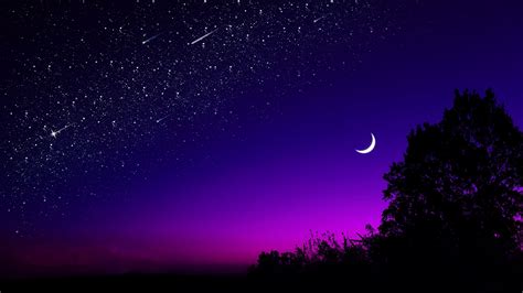 Download Wallpaper 2560x1440 Moon Tree Starry Sky Night