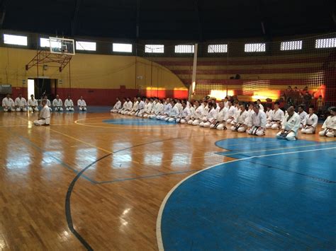 jka nikkey associacao araponguense curso tÉcnico karate shotokan jka academia zanshin