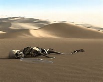 Image result for desert skeleton