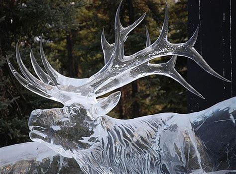 Awesome Ice Sculptures 20 Pics