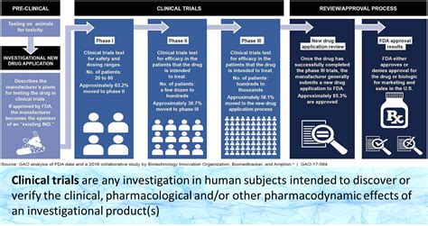 Clinical Trials Phases