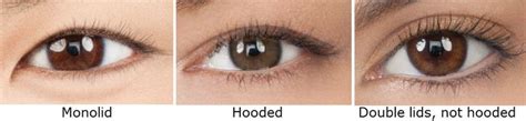 Monolid Hooded Double Lids Hooded Eyes Eye Makeup Makeup Tips