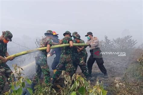 Kepala BNPB Minta Polri Lebih Berani Tindak Pembakaran Hutan ANTARA News