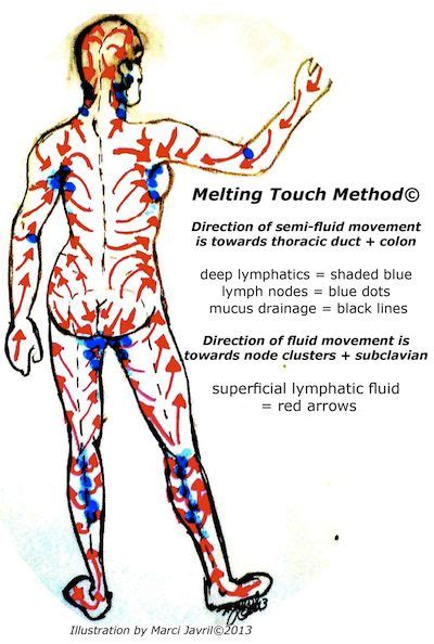 Melting Touch Method Lymphatic Drainage Massage Lymphatic Detox