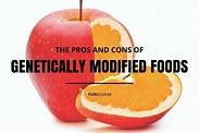 Genetically Modified Foods: Are They Really That Harmful? | Yuri Elkaim