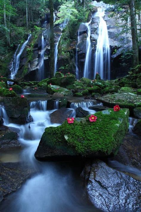 In Love With Japan Waterfall Beautiful Nature Beautiful Waterfalls