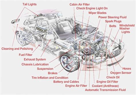 Labeled Under The Hood Of A Car Diagram