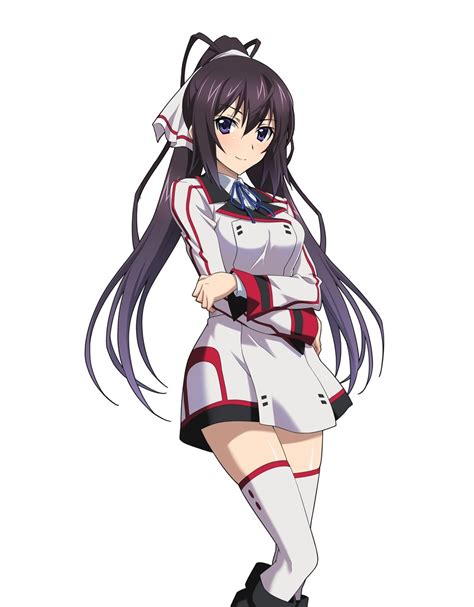 Shinonono Houki Infinite Stratos Danbooru