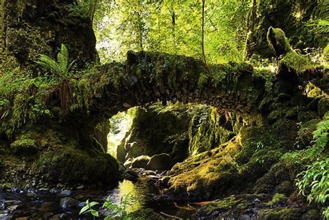 Ancient Stone Bridge In Scotland Pics