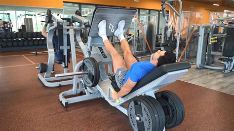 Leg Press Alternative Machine Strength And Conditioning Exercises