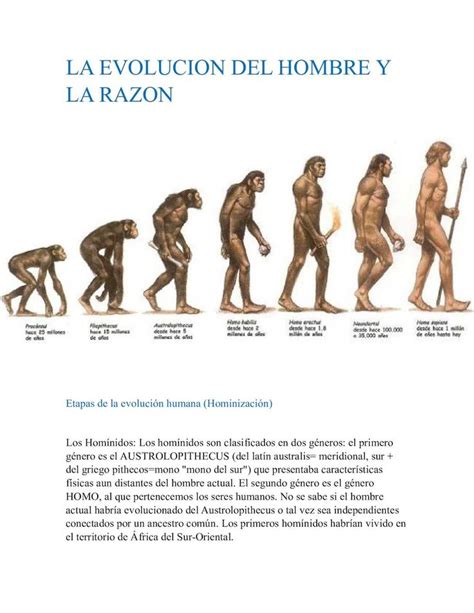 La Evolucion Del Hombre Y La Razon Evolucion Del Hombre Evolucion