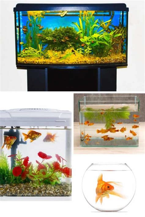 Fish Aquarium Sizes