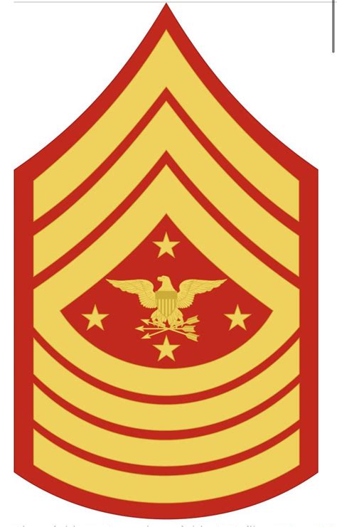 Til This Is The New Official Rank Insignia Of A Sgtmaj Serving As
