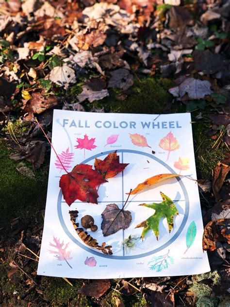 Kids Fall Activities Leaf Color Wheel Our Natural Heritage