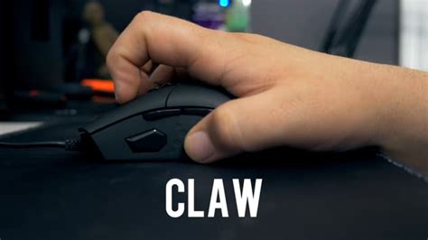 Best Gaming Mouse For Palm Claw And Fingertip Grips 2018 Turbofuture