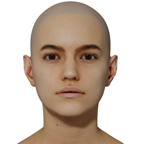 Female 3d Model Retopologised Head Scan 036