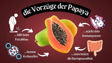 Wie Gesund Ist Die Papaya Gesundheitliche Vorteile Papain
