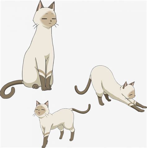 Flying Cat Png Kenny A White Cat Who Is Akanes Familiar