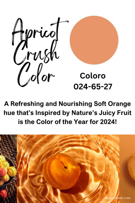 Apricot Crush Color In 2023 Crushes Color Color Of The Year