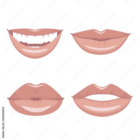 Set Of Vector Lips Various Types Of Woman Lips Broad Smile With Teeth