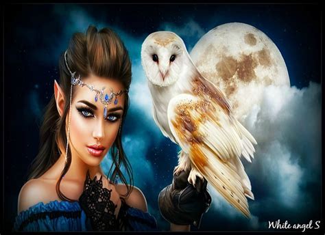 Fantasy Owl Moon Lady Blue Hd Wallpaper Peakpx