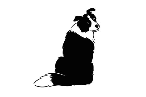 Border Collie Vector Illustration Illustrations ~ Creative Market