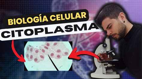 BiologÍa Celular El Citoplasma Youtube