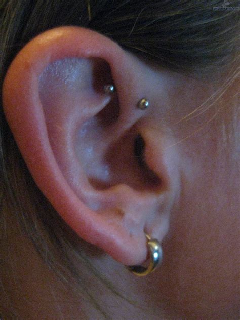 Daith Piercing Pain Scale Verzameling